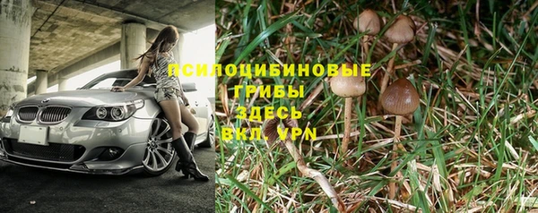 прущая мука Остров