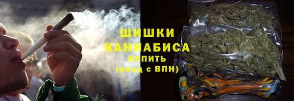прущие грибы Осинники