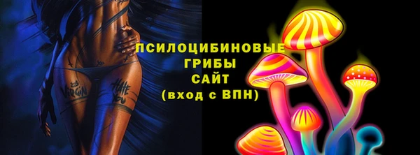 прущие грибы Осинники