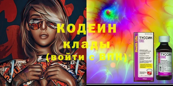 прущие грибы Осинники