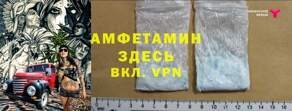 прущие грибы Осинники