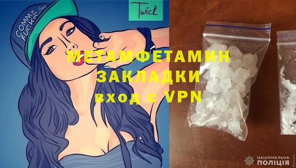 прущие грибы Осинники