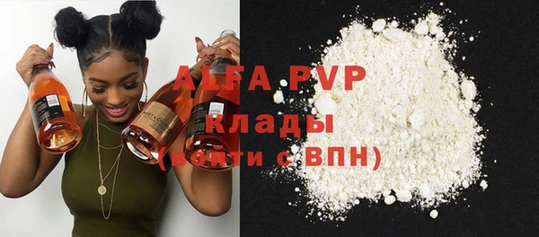 прущие грибы Осинники