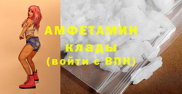 прущие грибы Осинники
