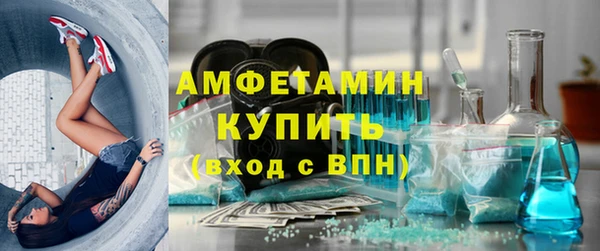 крисы Няндома