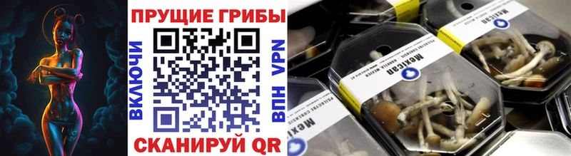 Галлюциногенные грибы ЛСД Светлоград